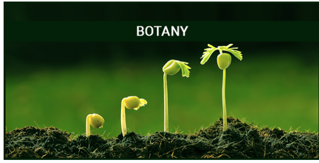 2025 26 GENERAL BOTANY 2S-BIO01 